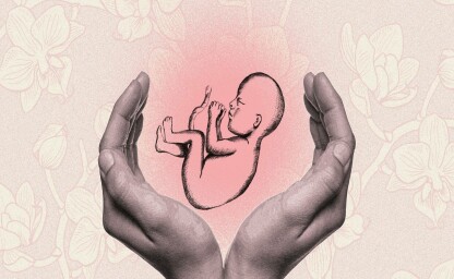 أبرز آراء النسوية الراديكالية: رفض الأمومة والإنجاب | مرابط