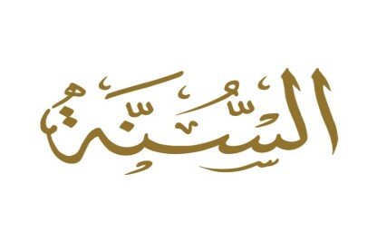شبهات الحداثيين العرب حول تدوين السنة النبوية والرد عليها ج2 | مرابط